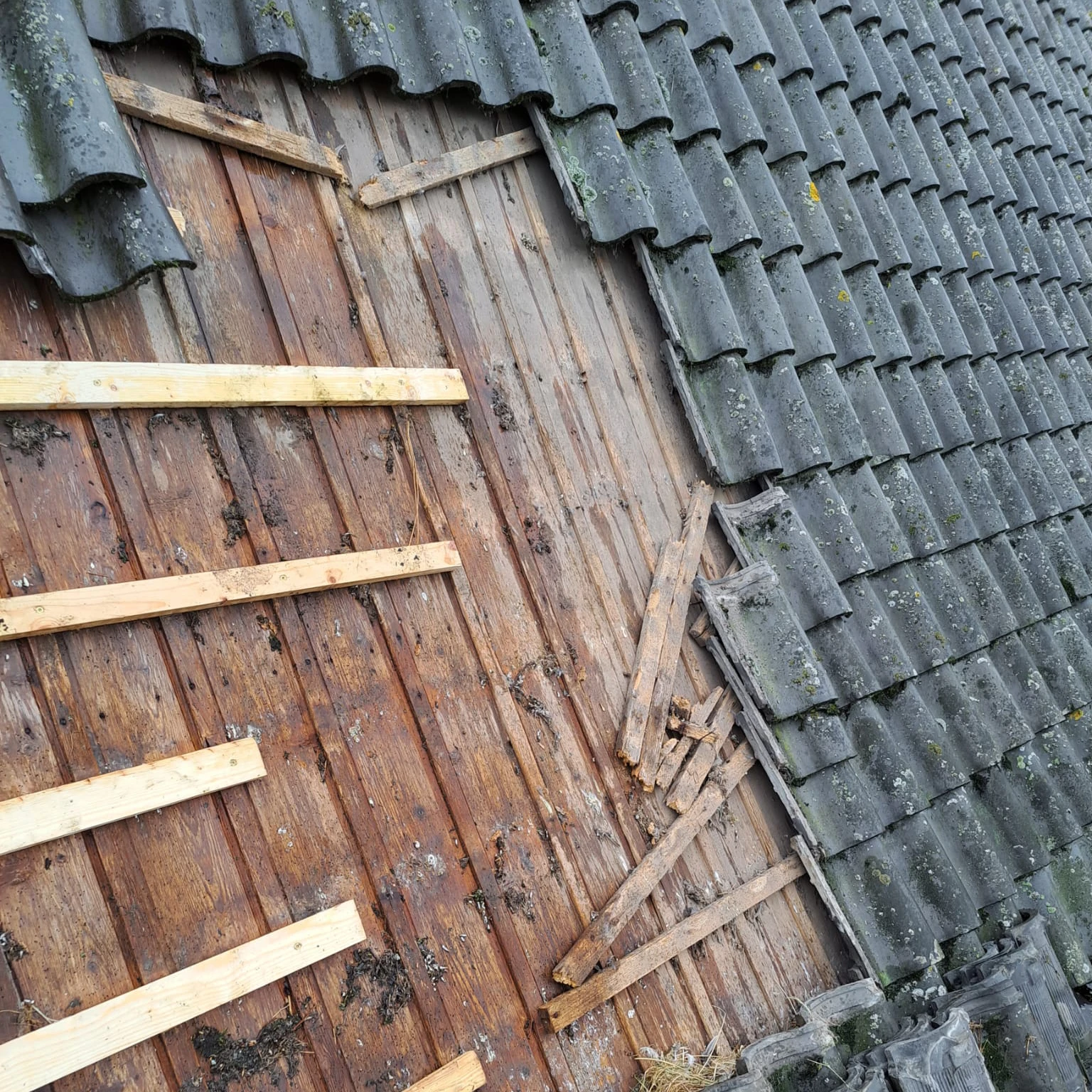 Herstellen dakpanlatten en dakpannen